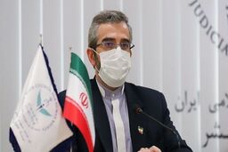 ایران با یک اراده جدی برای لغو تحریم‌ها وارد گفتگوهای وین شده است