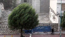 پیش‌بینی ورزش باد شدید طی آخر هفته در خراسان‌جنوبی