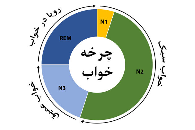 راز سلامت جسم و ذهن