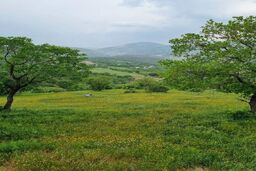 عکس/ طبیعت زیبای روستای قلعه‌گاه روانسر

