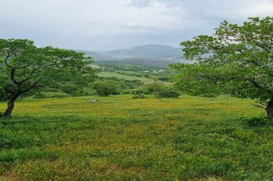 عکس/ طبیعت زیبای روستای قلعه‌گاه روانسر
