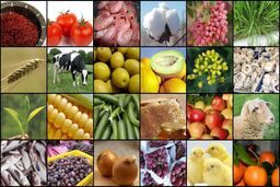 قیمت ۸ گروه کالایی باز هم بالا رفت