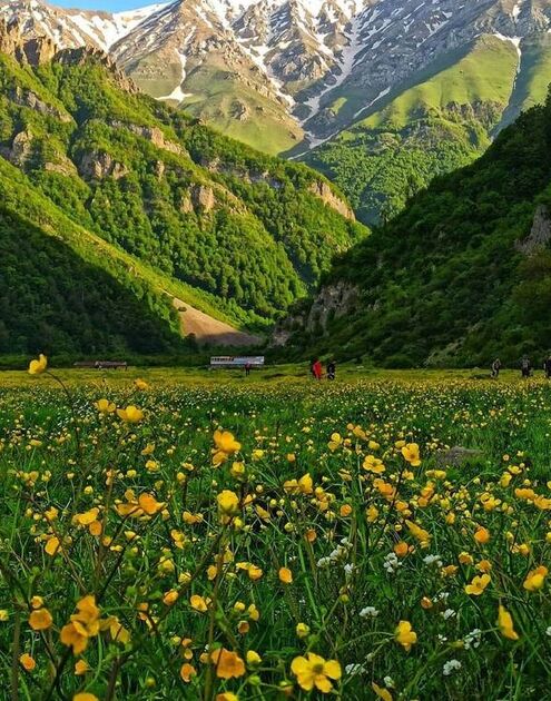 عکس/ دشت دریاسر، مازندران