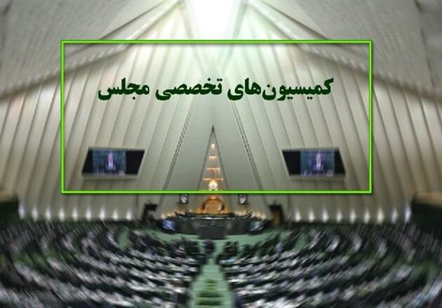 کمیسیون ‌های تخصصی مجلس از ۲۵ خرداد رسماً کار خود را آغاز می‌ کنند