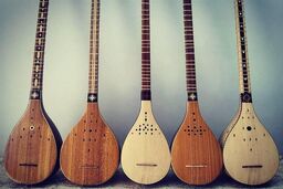  سه تار از تبریز به کانادا می‌رود