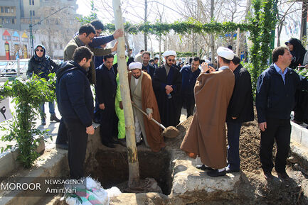 احیای درختان خیابان ولیعصر (عج)