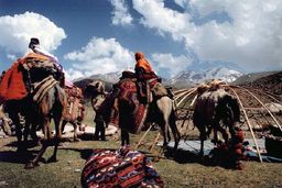 آغاز کوچ عشایر از ۳۰ فروردین