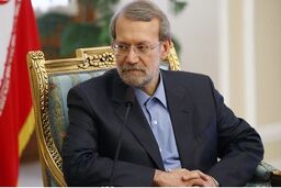 رئیس مجلس شورای اسلامی از پهلوان علیرضا کریمی تجلیل کرد