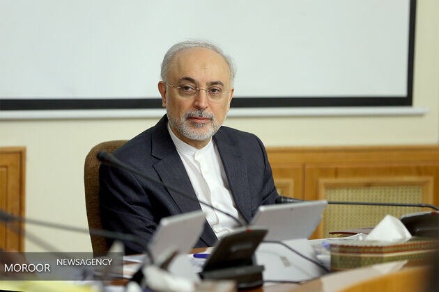 فعالیت های سازمان انرژی اتمی رو به گسترش است