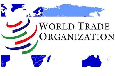 ایران بزرگ‌ترین اقتصاد خارج از WTO است