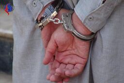 یک تبعۀ خارجی در ارتباط با حملات تهران دستگیر شد