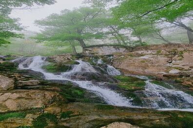 عکس/ آبشار پشمکی رامیان در مه
