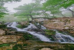 عکس/ آبشار پشمکی رامیان در مه
