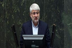 در جلسه غیررسمی مجلس درباره بودجه رای گیری نکردیم