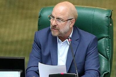 دولت و بانک مرکزی همکاری لازم را با مجلس برای حل مشکلات توزیع نهاده های دامی داشته باشند