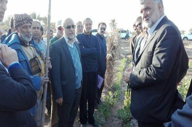 وزیر جهاد کشاورزی از اراضی ۵۵۰ هزار هکتاری بازدید کرد