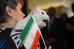 مراکش برنده بازی با پرتغال است