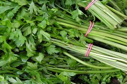  سبزی ارزان می شود/ سبزیجات گلخانه ای عامل گرانی