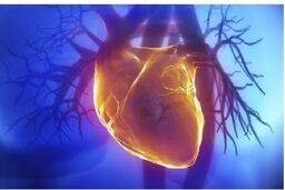 آب‌وهوای سرد بر سلامت قلب تاثیرگذار است