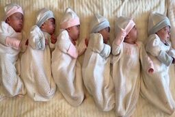 بیش از ۶ هزار چند قلو در سال ۱۴۰۲ متولد شدند