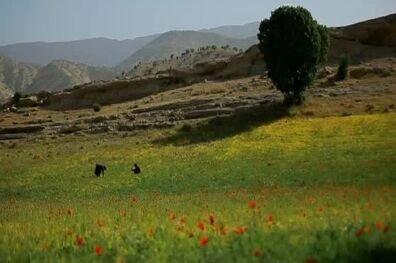 «مله پنجاب» از مناطق توریستی و تفریحی استان ایلام