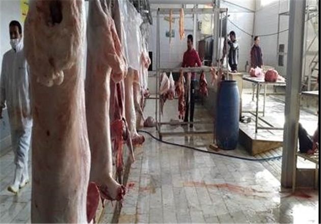 آغاز طرح ساماندهی کشتار و عرضه گوشت دام و طیور در شهر ری