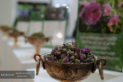 افتتاح نمایشگاه دستاوردهای چهل سال مدیریت جهادی