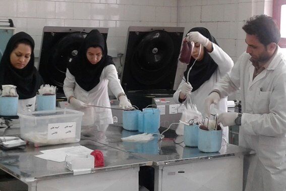  ساختمان انتقال خون اردبیل فرونشست 