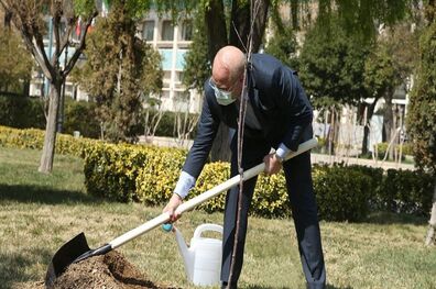 توجه به محیط زیست در اولویت مجلس شورای اسلامی است