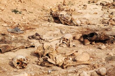 کشف گور جمعی در صلاح الدین عراق