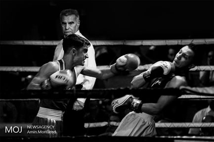 روز پایانی مسابقات بوکس جام رمضان