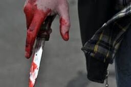 جوان ایرانی در استانبول کشته شد 