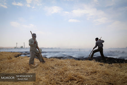 درآمدهای داغ - کشاورزی