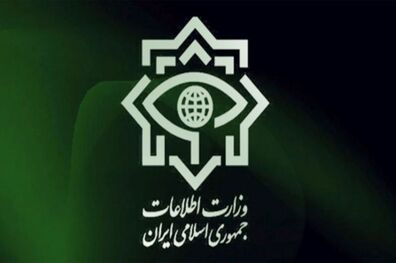 دستگیری اخلالگران سازمان یافته از سوی وزارت اطلاعات