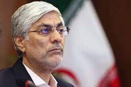 انتقاد وزیر ورزش از آمار بیمه پزشکی ورزشی بانوان 