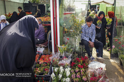 بازار گل شهید محلاتی