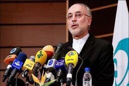 علی اکبر صالحی: در وهله اول، مشغول تلاش برای حفظ تمامیت برجام هستیم