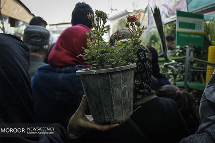 بازار گل شهید محلاتی