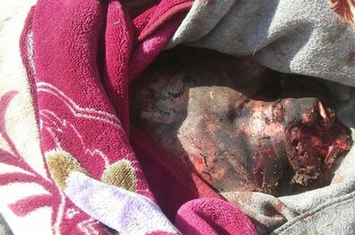 دست آلمان نیز با وجود صادرات تسلیحات به عربستان آغشته به خون غیرنظامیان یمنی است