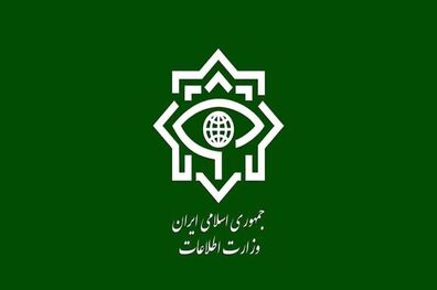 شناسایی و بازداشت دو فرد اروپایی سازمان دهنده آشوب و بی‌نظمی