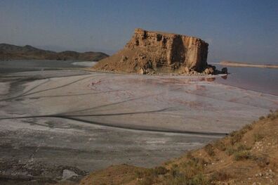 کاشت گیاهان بومی اقدامی برای تثبیت گردوغبار و احیای دریاچه ارومیه