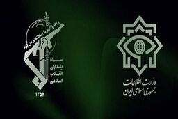  ۱۹ عامل گروهک منافقین در سیستان و بلوچستان دستگیر شدند