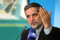 نقوی‌حسینی: مقامات عربستانی با متانت و در حد و اندازه خودشان اظهارنظر کنند