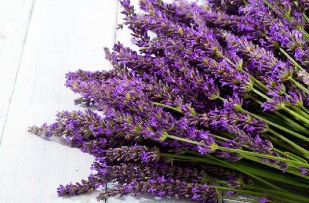 گیاهی برای تسکین سرفه در فصل سرما