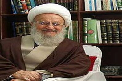 زائران اربعین بدون گذرنامه سفر نکنند/ به مقررات حاکمیتی عراق احترام بگذارید