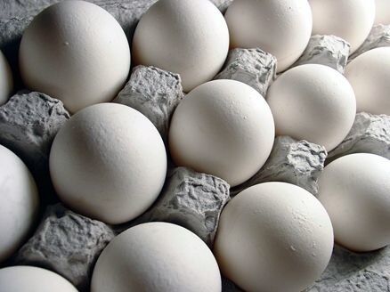 تکذیب واردات تخم‌مرغ/ پیگیری حجتی برای جبران خسارت آنفولانزای مرغی