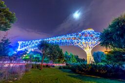 پل طبیعت آبی می‌شود