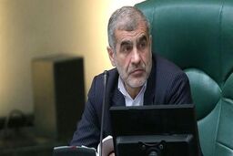 حمایت مجلس از خودکفایی در حوزه تولیدات لوازم خانگی