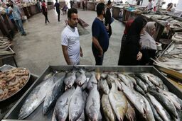 اجازه صید به هیچ کشوری در آب‌های ایران را نمی‌دهیم