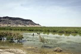 احیای تالاب هامون؛ موضوع کارگروه شهرستانی حوزه سیستان